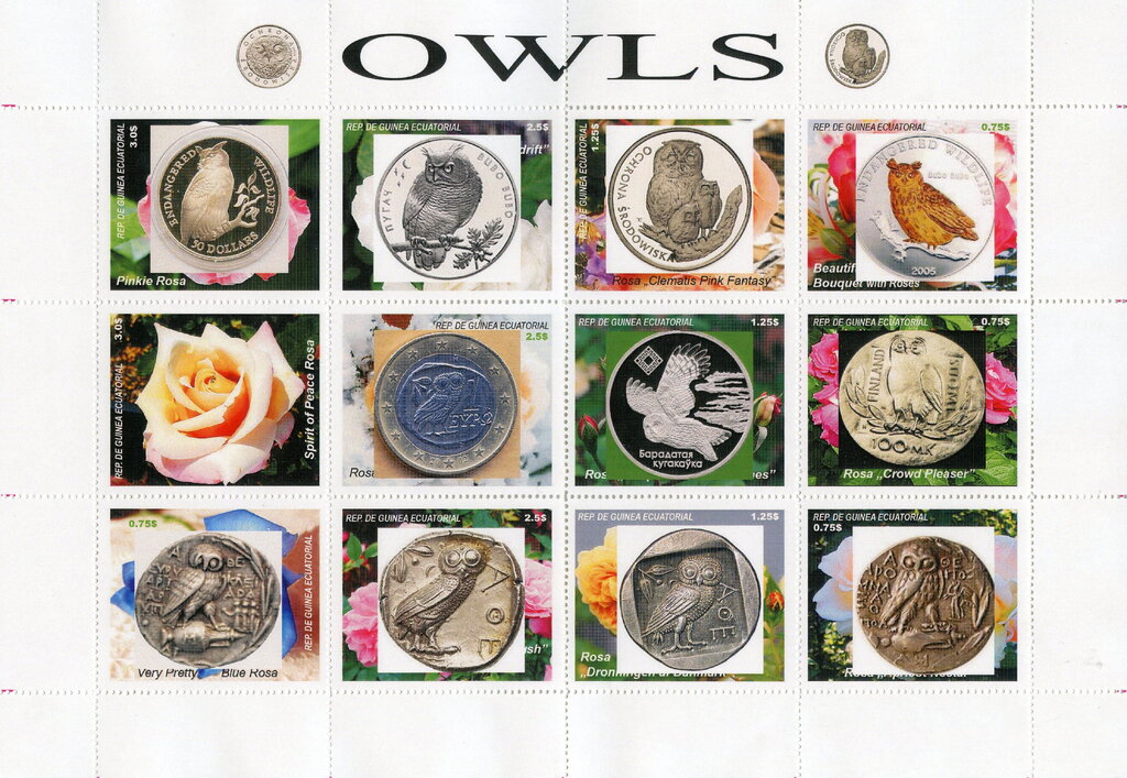 Owls