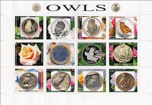Mini Sheet, Owls, Equatorial Guinea,  , Animals (Fauna), Birds, Owls