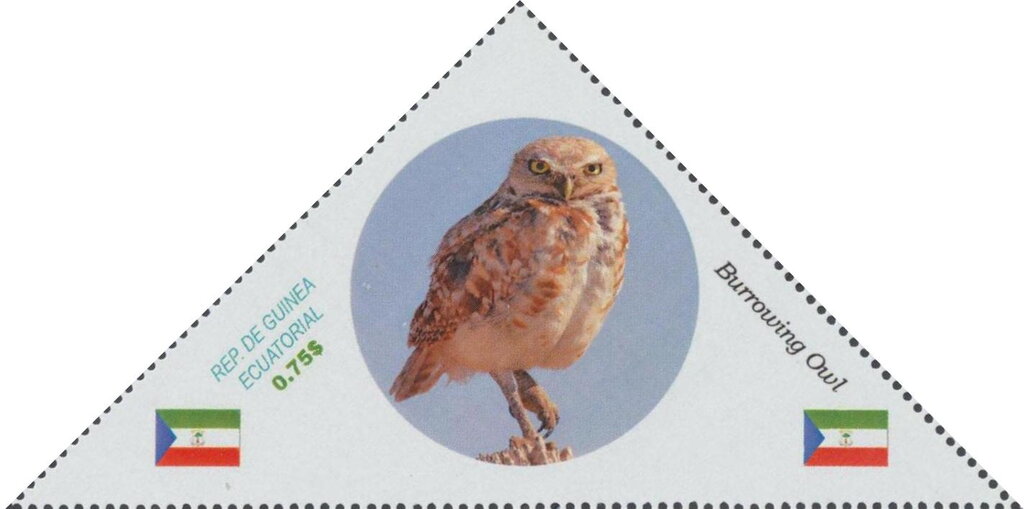 Owls