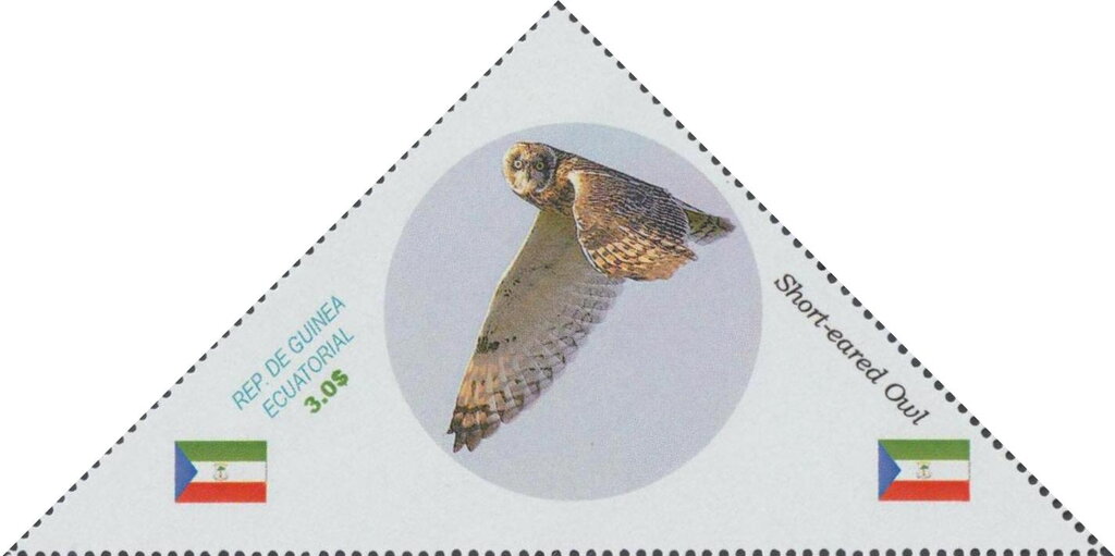 Owls