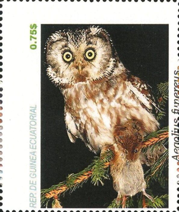 Owls