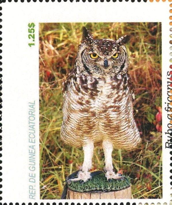 Owls