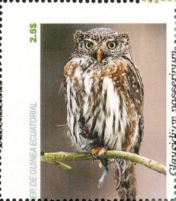 Owls