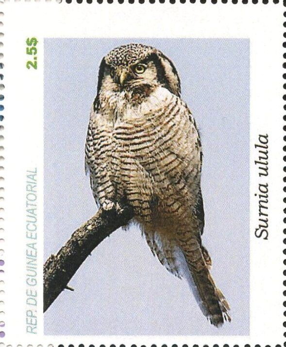 Owls