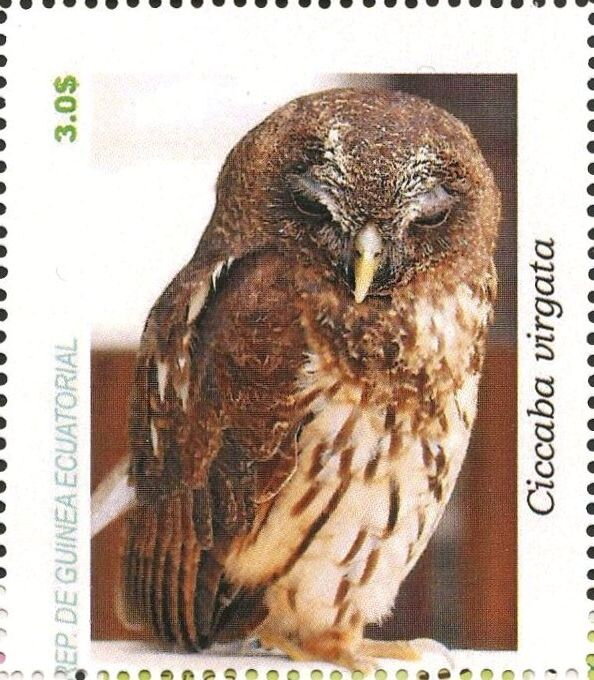 Owls
