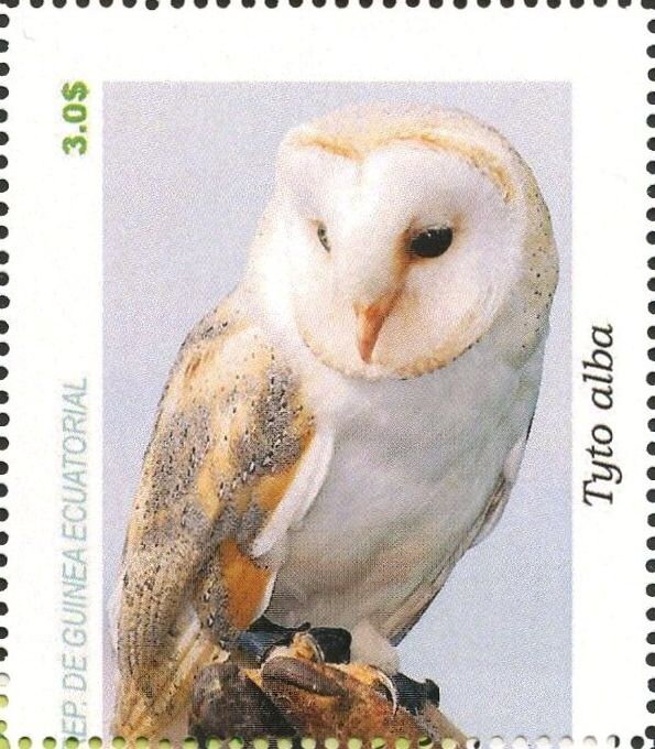 Owls