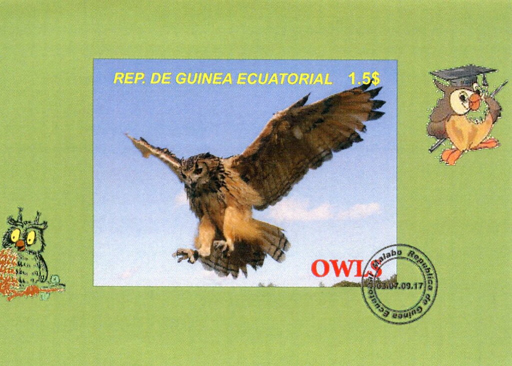 Owls