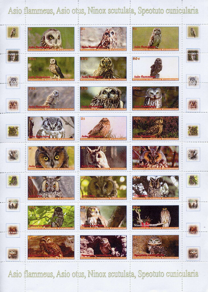 Owls