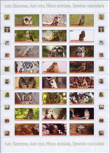 Mini Sheet, Owls, Equatorial Guinea,  , Animals (Fauna), Birds, Owls