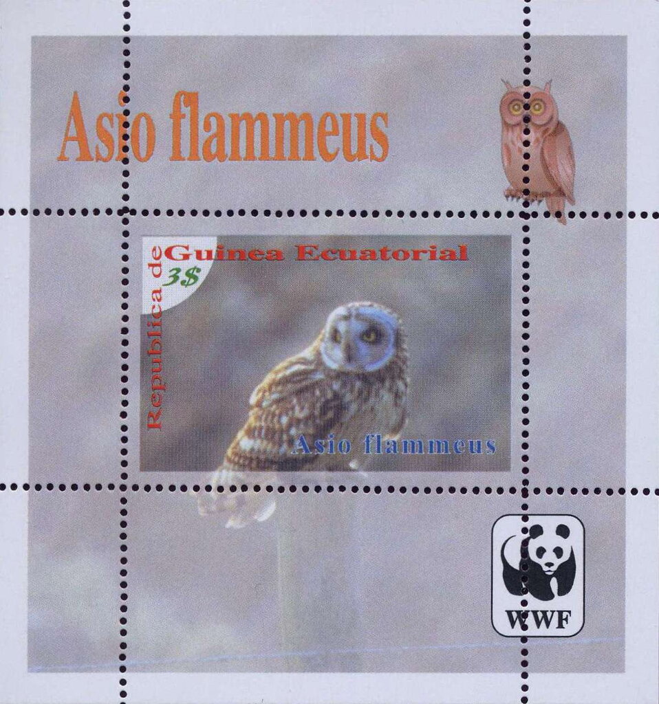 Owls