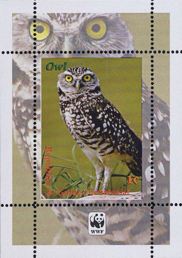 Owls