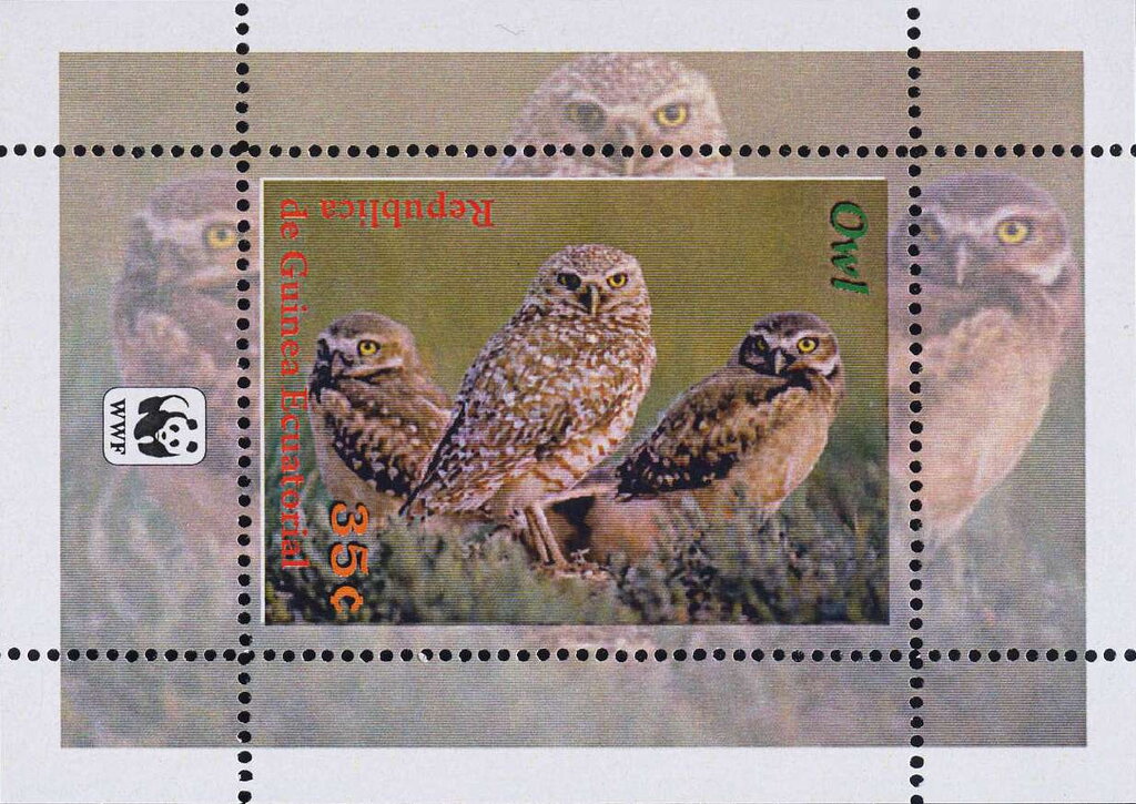 Owls