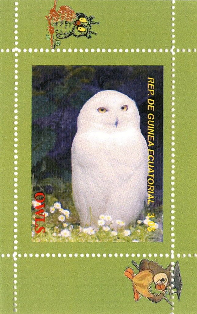 Owls
