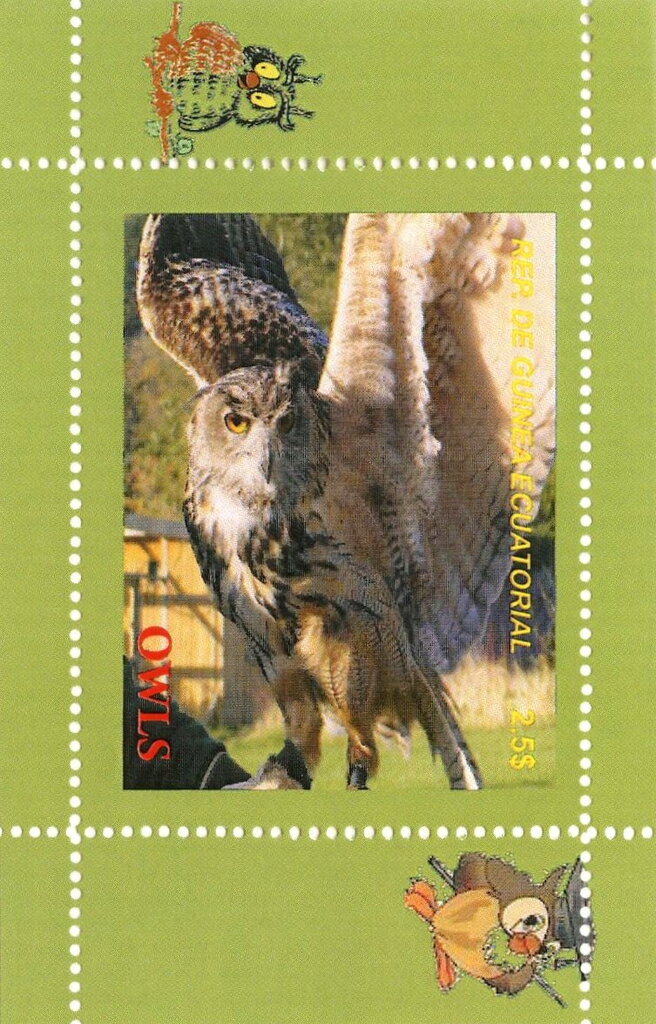 Owls