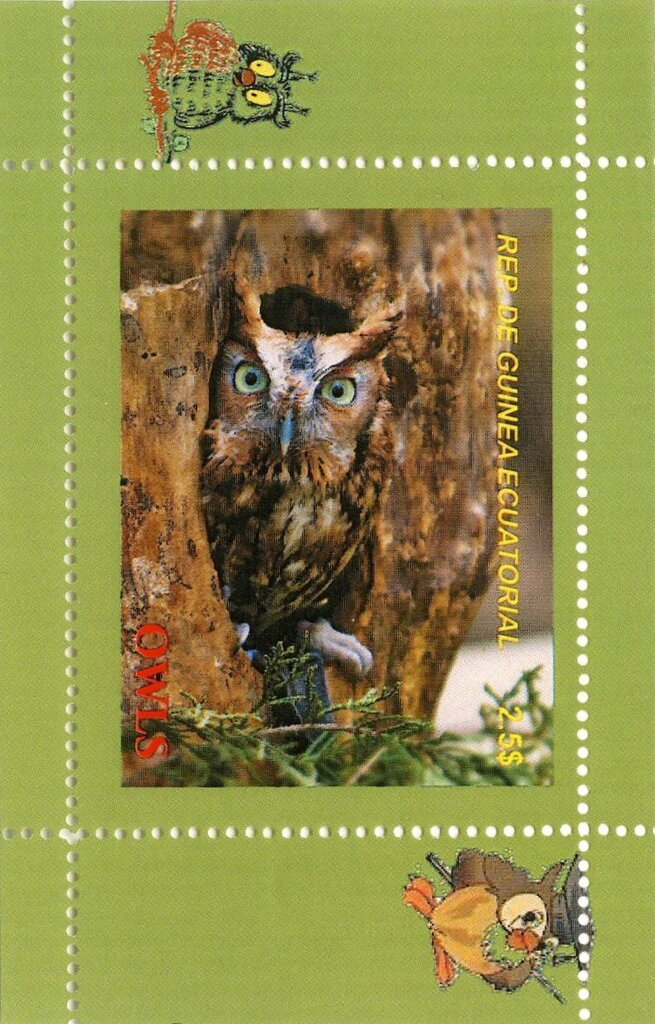 Owls