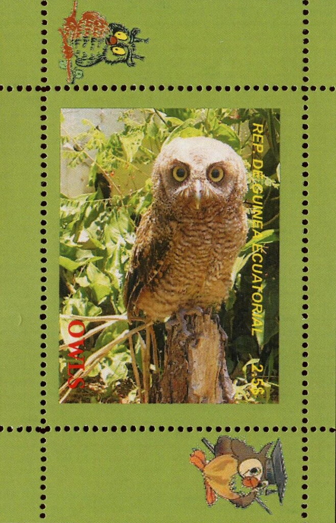 Owls