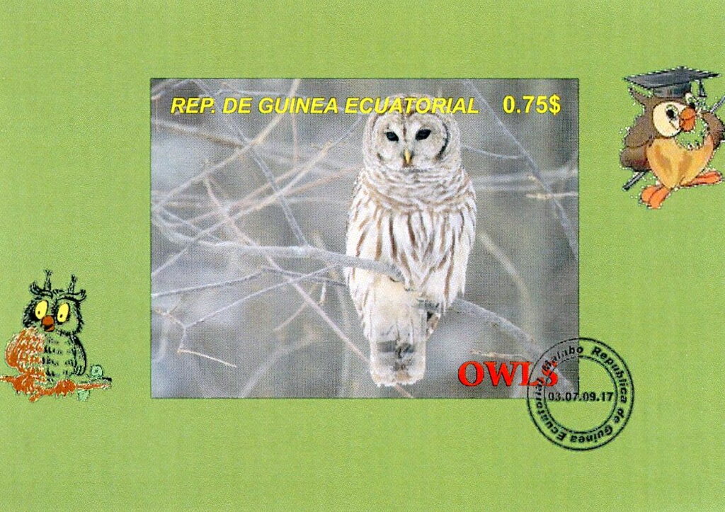Owls