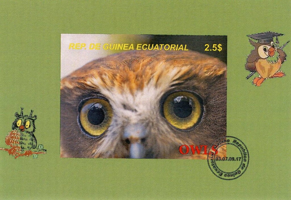 Owls