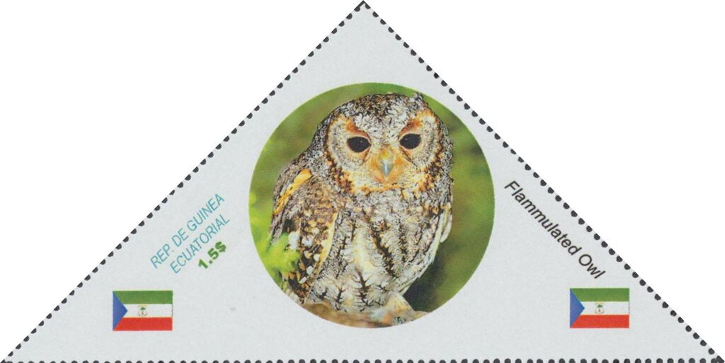 Owls