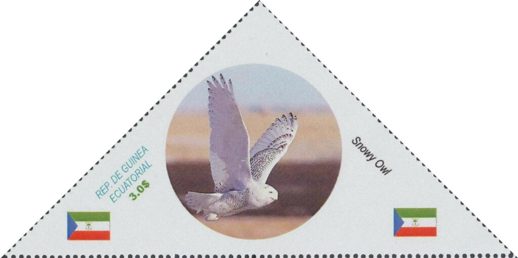 Owls