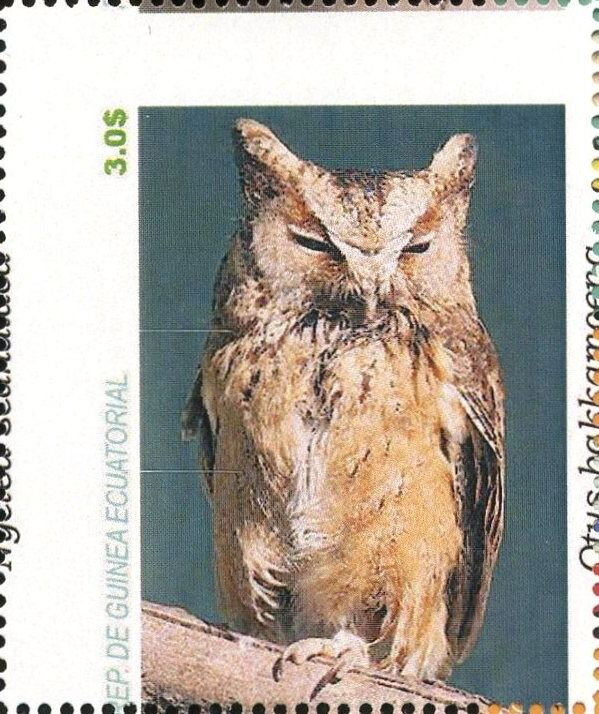 Owls