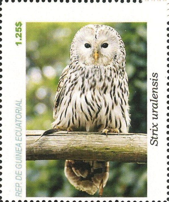 Owls