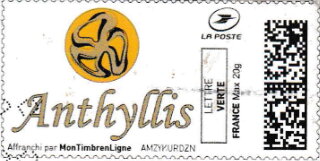 Anthyllis