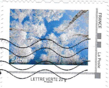 Stamp, Beech Trees : Hetres, France,  , Trees, Winter