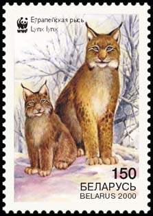 Stamp European Lynx (view 3), WWF