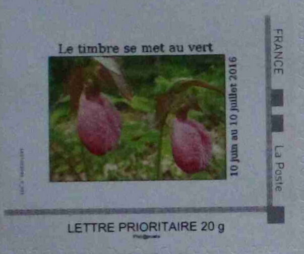 The Stamp goes Green. Orchid