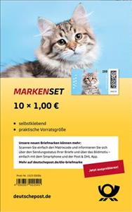 Full Pane, Cat, Germany, Federal Republic,  , Animals (Fauna), Cats, Mammals