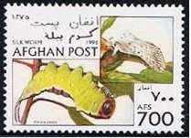 Stamp, Puss Moth (Cerura vinula), Afghanistan,  , Butterflies