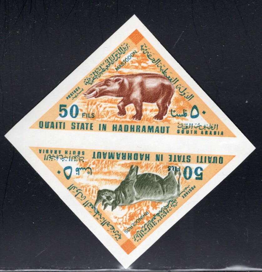 Mastodon/Rhinoceros