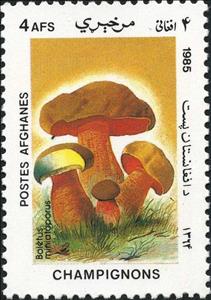 Stamp, Boletus miniatoporus, Afghanistan,  , Mushrooms