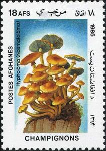 Stamp, Hypholoma, Afghanistan,  , Mushrooms