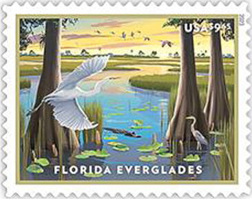Stamp, Florida Everglades, United States of America,  , Birds, Landscapes