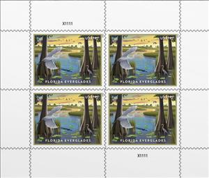 Full Pane, Florida Everglades, United States of America,  , Birds, Landscapes
