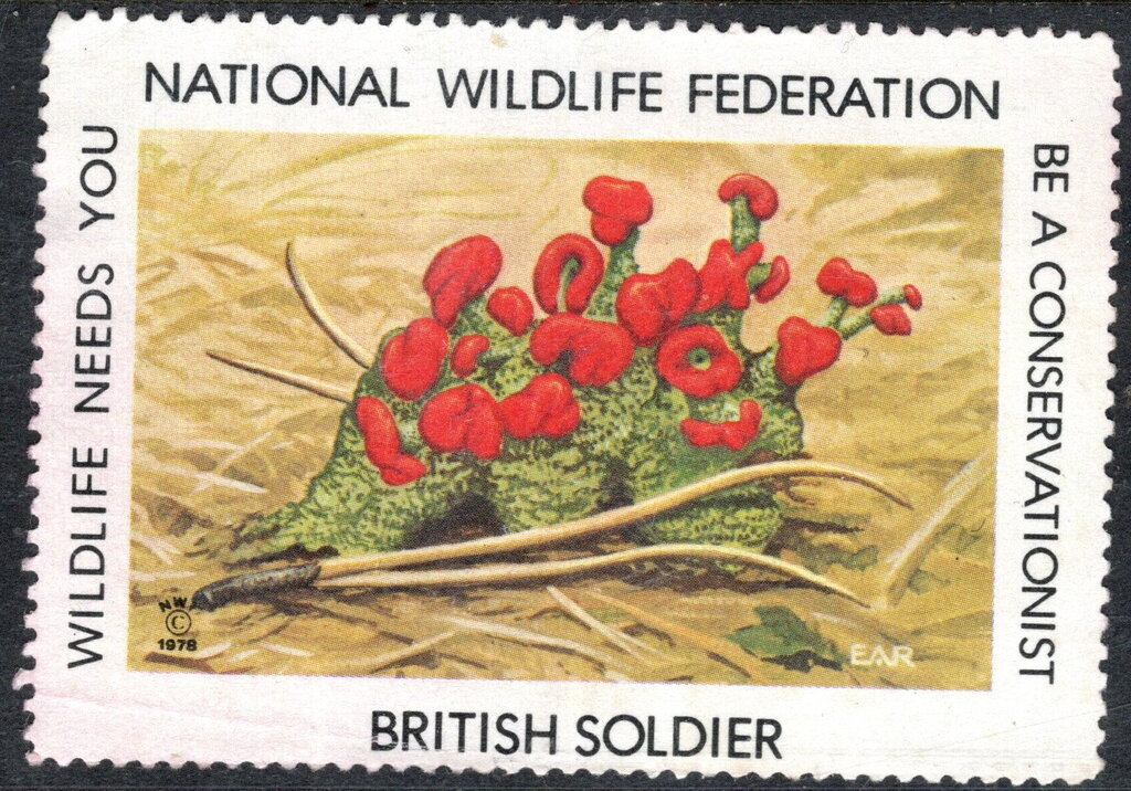 British Soldier