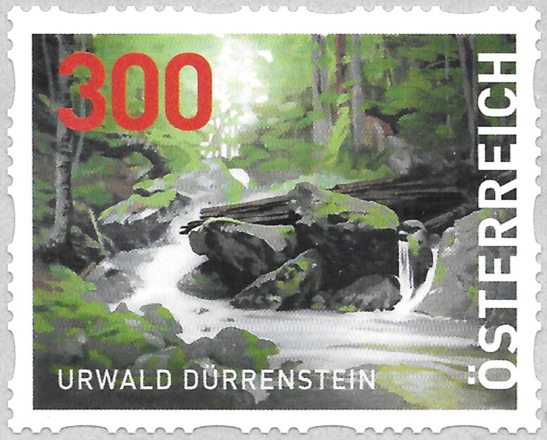 Dürrenstein Ancient Woodland (Lower Austria)