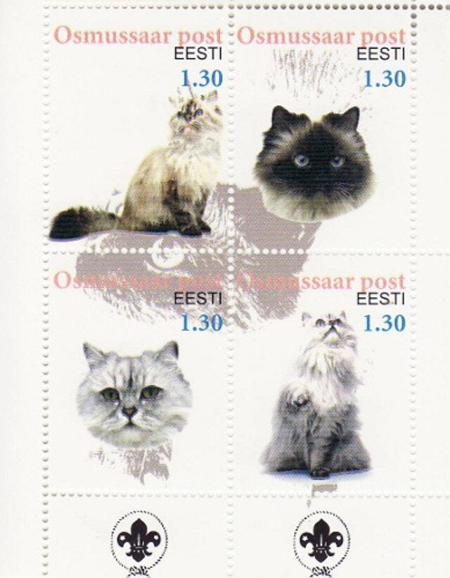 Cats