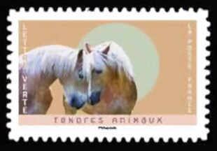 Horses