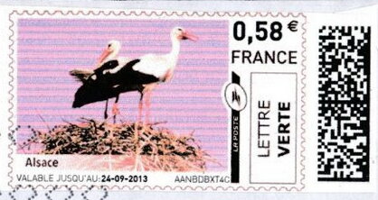 Alsace, Storks, pink sky