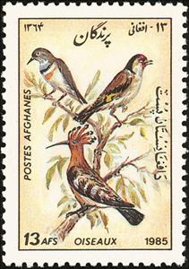 Stamp, Eurasian Hoopoe (Upupa epops), Afghanistan,  , Birds, Animals (Fauna)