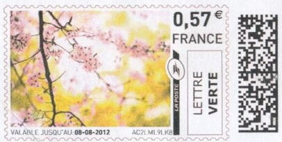 Pink Blossom, yellow leaves