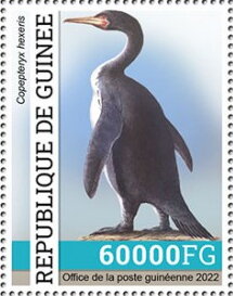 Copepteryx hexeris