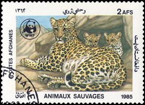 Stamp, Leopard (Panthera pardus), Afghanistan,  , Mammals, WWF, Leopards, Animals (Fauna)