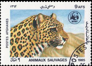 Stamp, Leopard (Panthera pardus), Afghanistan,  , Mammals, WWF, Leopards, Animals (Fauna)
