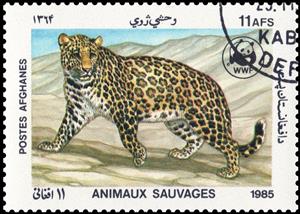 Stamp, Leopard (Panthera pardus), Afghanistan,  , Mammals, WWF, Leopards, Animals (Fauna)