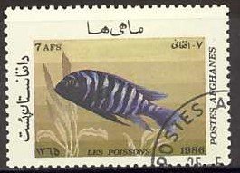 Stamp, Green Fin Cichlid (Cichlasoma nigrofasciatum), Afghanistan,  , Fishes