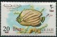 Stamp, Ornate Butterflyfish (Chaetodon ornatissimus); Surcharged, Khor Fakkan,  , Animals (Fauna), Fishes, Sea Life